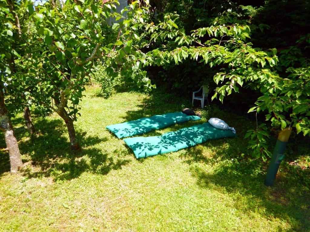 2 Chambres Et Salle De Bain Un Oasis De Bien Etre Piscine Et Jardin Direct Gare Aeroport Toulouse Exterior foto